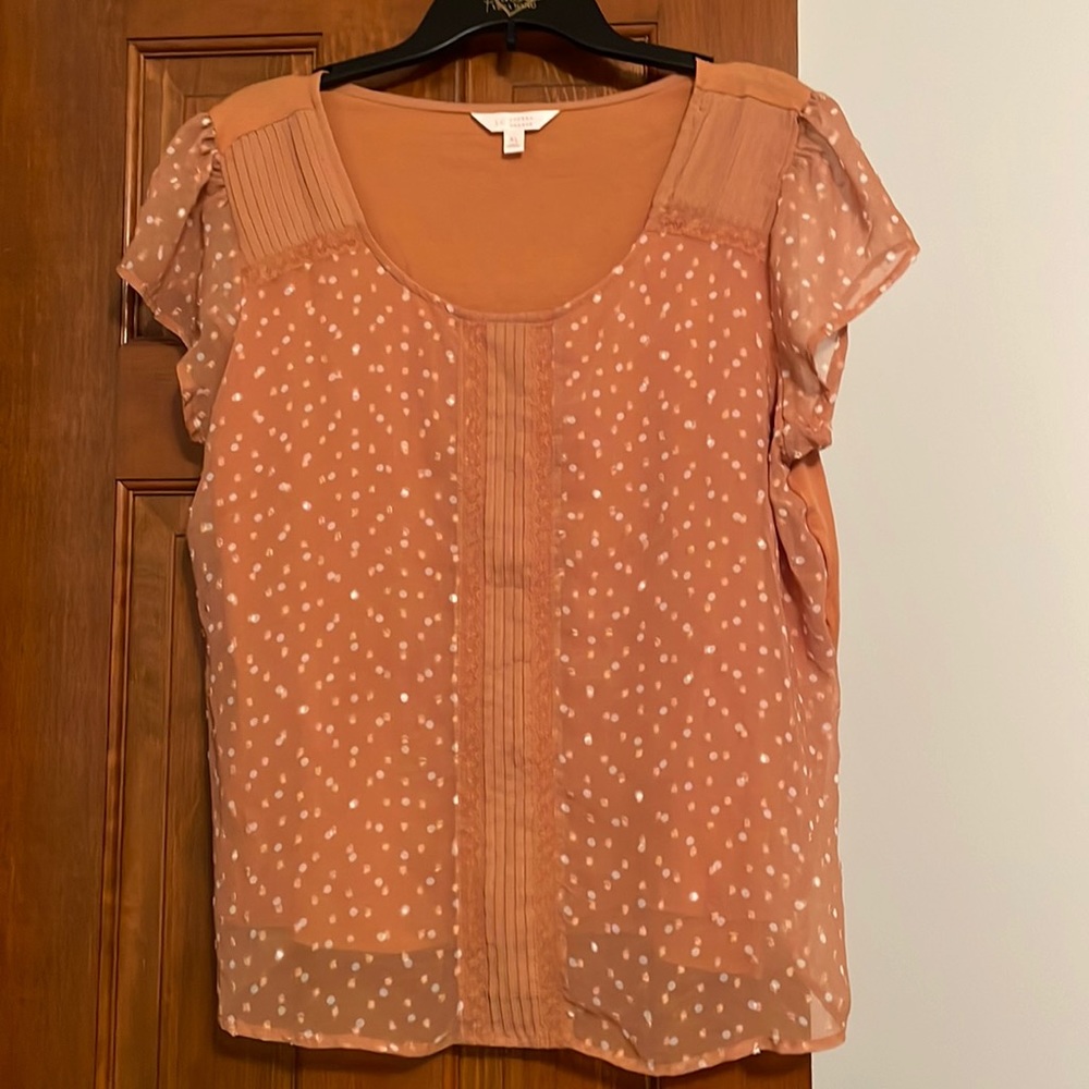 Short sleeve, sheer front top